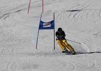 Landes-Ski-2015 28 Johann Holzinger